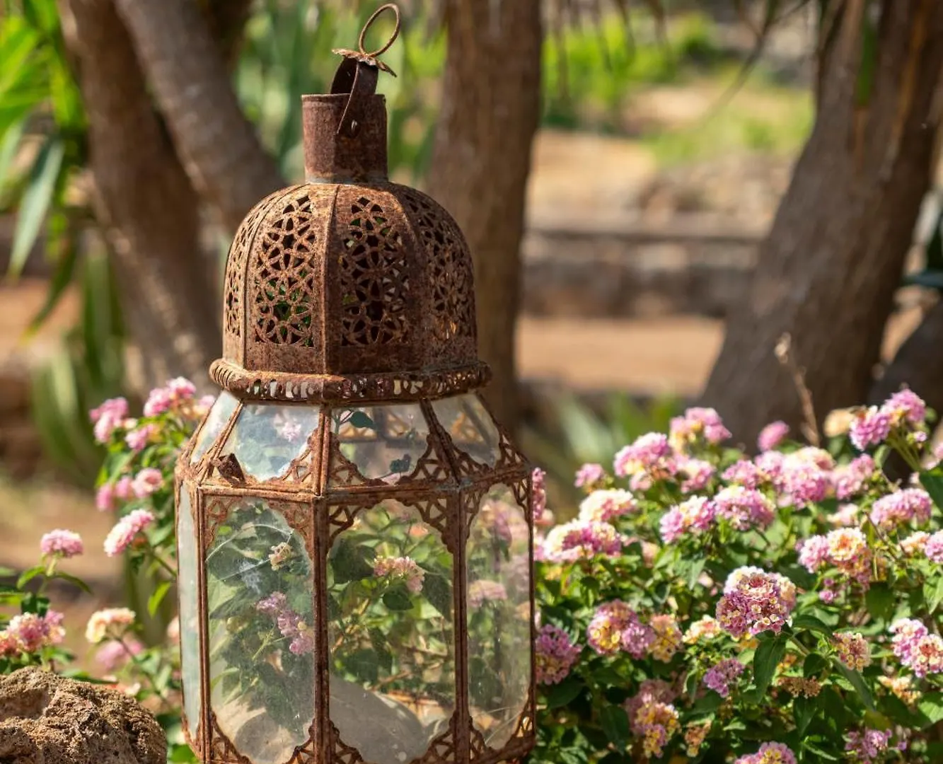 Dammusi Rekale Villa Scauri  Scauri (Sicily)